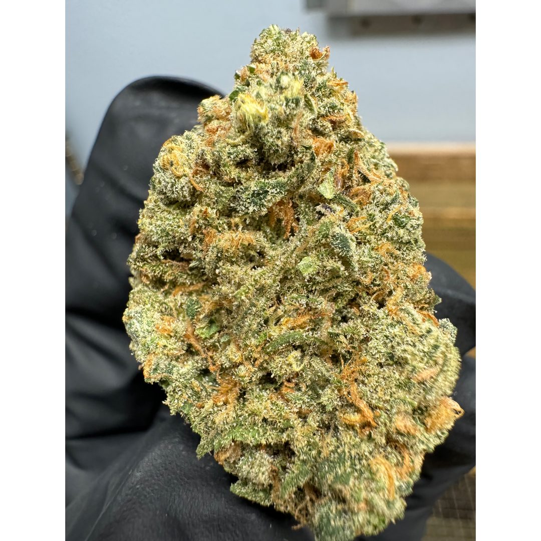 Blue Dream THCA Buds