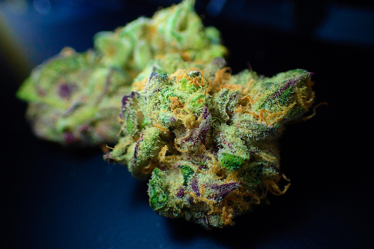 Memory Loss Strain: Unveiling This Paradoxical Cannabis Hybrid