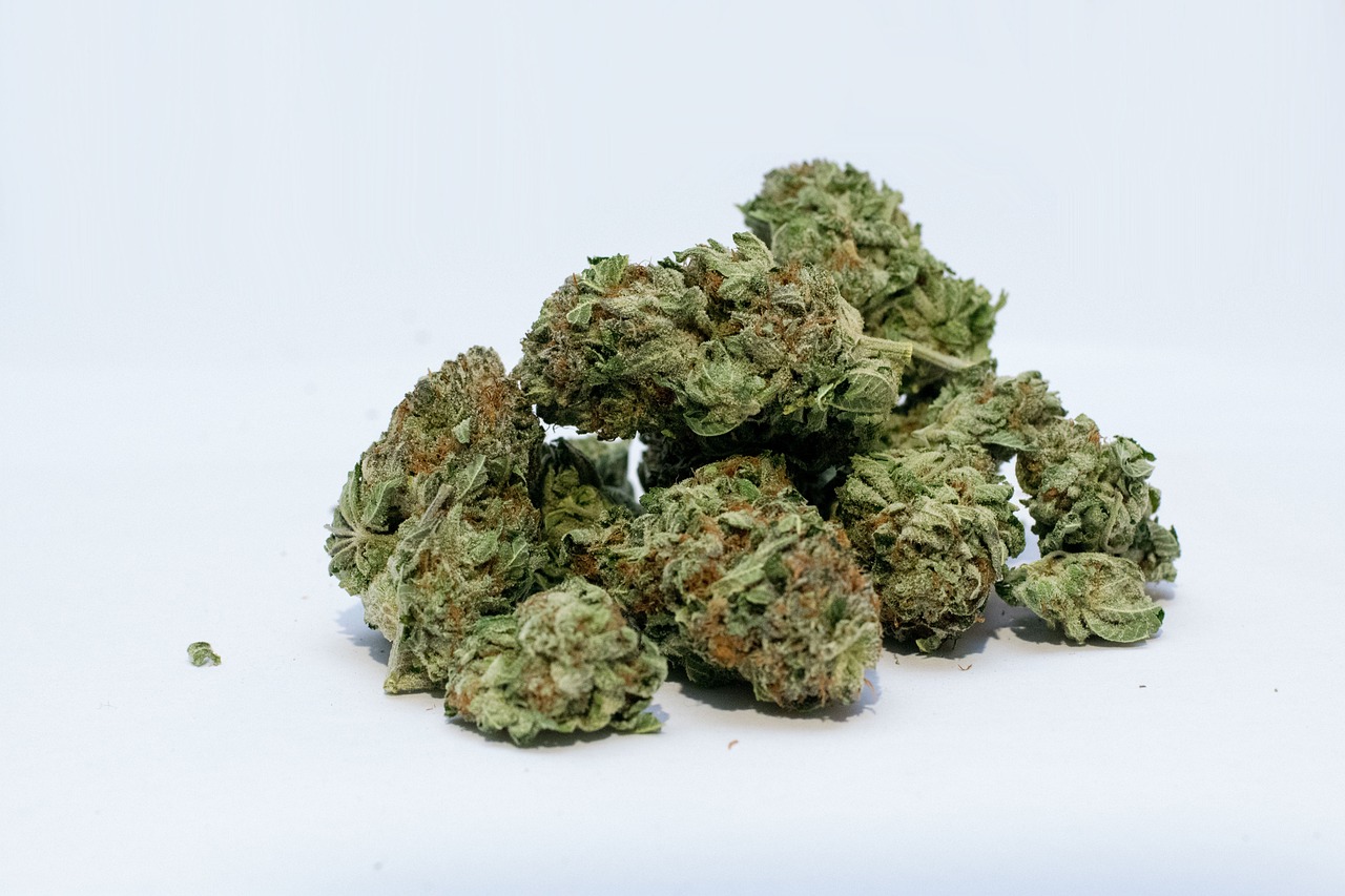 obama runtz cannabis flower