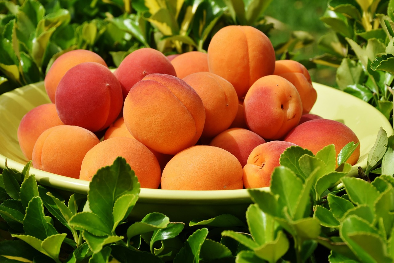 Peach Rings Strain: Unpacking the Sweet Hybrid Sensation
