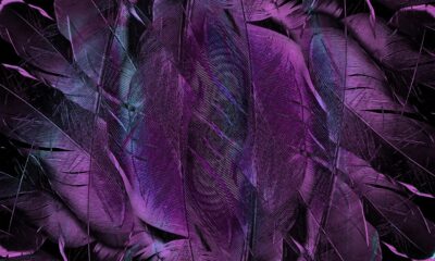 purple runtz strain