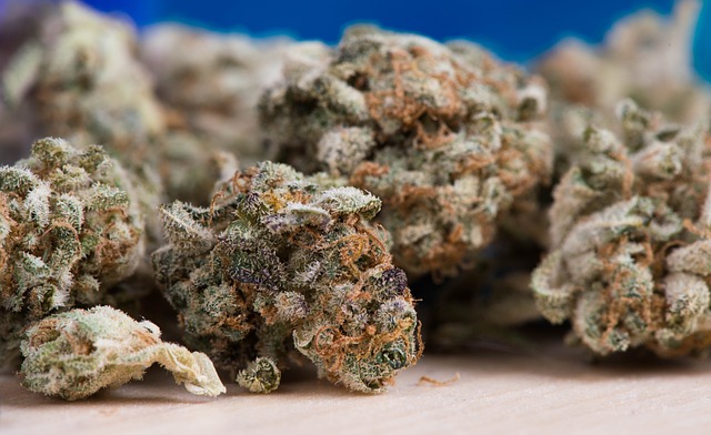 Timeline infographic of cannabis legalization milestones and the emergence of social lounges (club420)