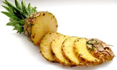 Tropic Thunder Strain: An Uplifting Hybrid Experience