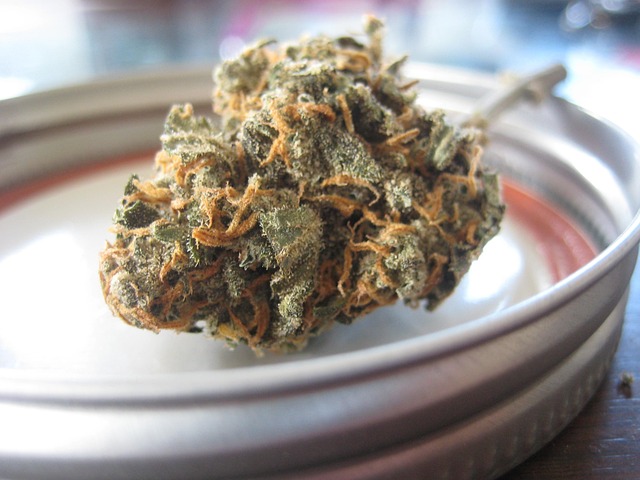 What are the THC levels and cannabinoid profile?
