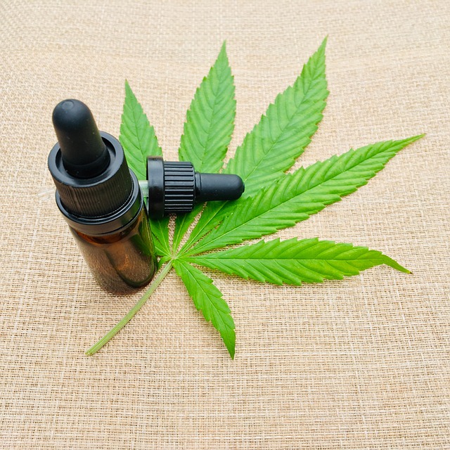 A cannabis leaf next to a tincture bottle with a dropper