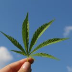arete hemp products