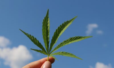 arete hemp products
