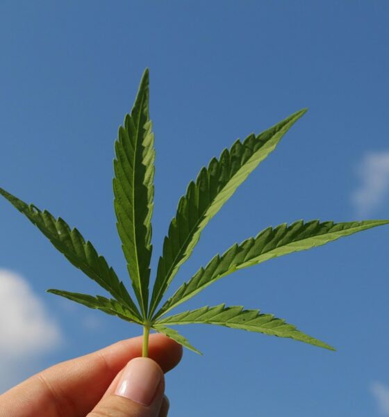 arete hemp products