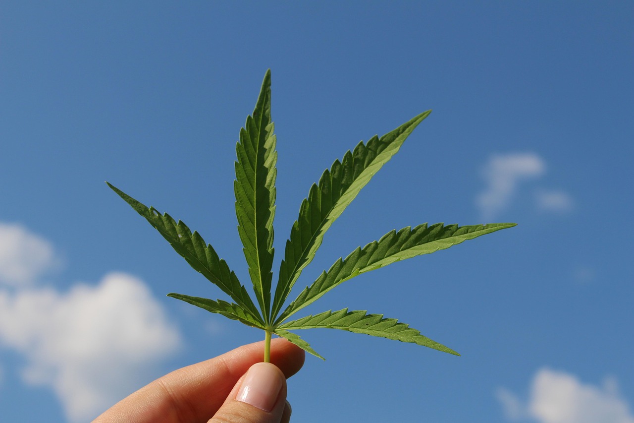 arete hemp products