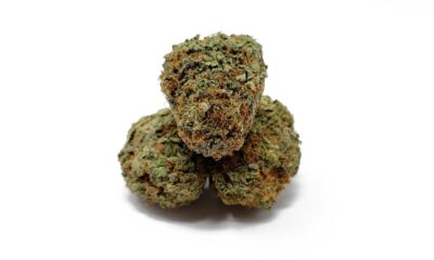 bulk cannabis packaging