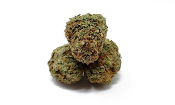 bulk cannabis packaging