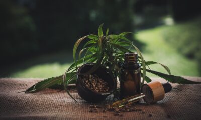 CBD vape carts