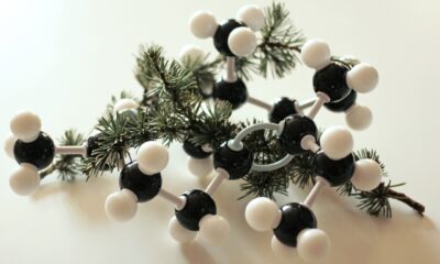 hhc molecule structure