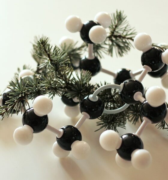 hhc molecule structure