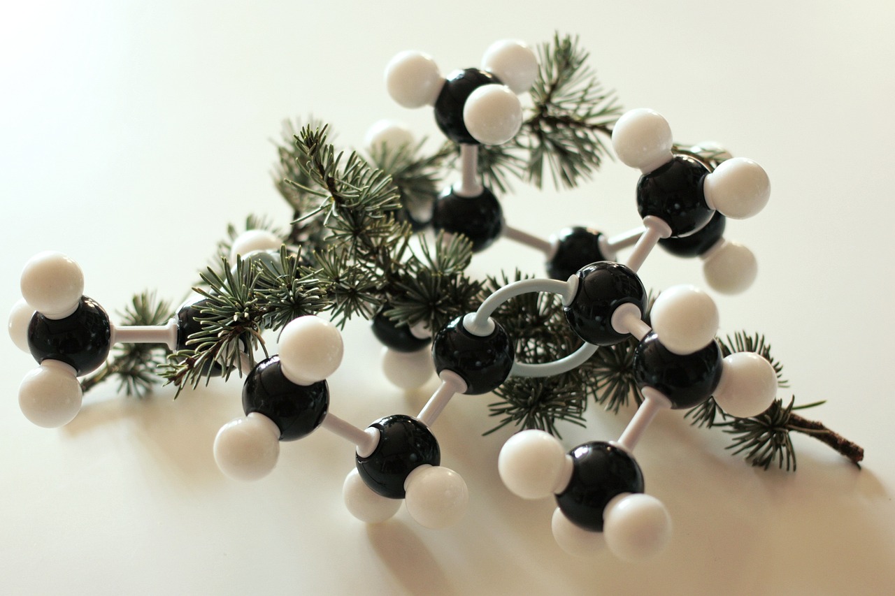 hhc molecule structure