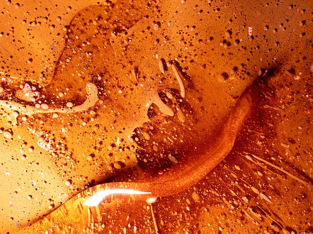 A close-up of golden amber resin texture with small bubbles
