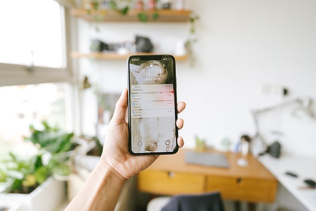 Smartphone screen displaying a cannabis dispensary loyalty program interface with points balance and available rewards