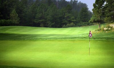 Your Guide to the Greenside Recreational Experience