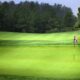 Your Guide to the Greenside Recreational Experience