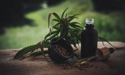 Green Dragon CBD: Your Guide to Products and Potency