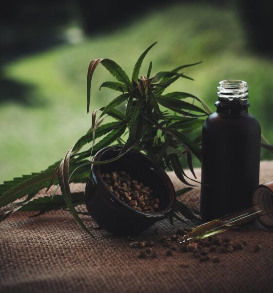 Green Dragon CBD: Your Guide to Products and Potency