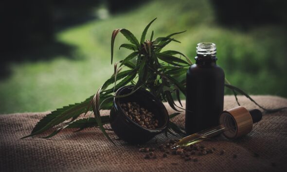 Green Dragon CBD: Your Guide to Products and Potency