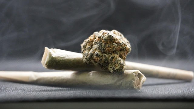 How to use a roach clip step-by-step