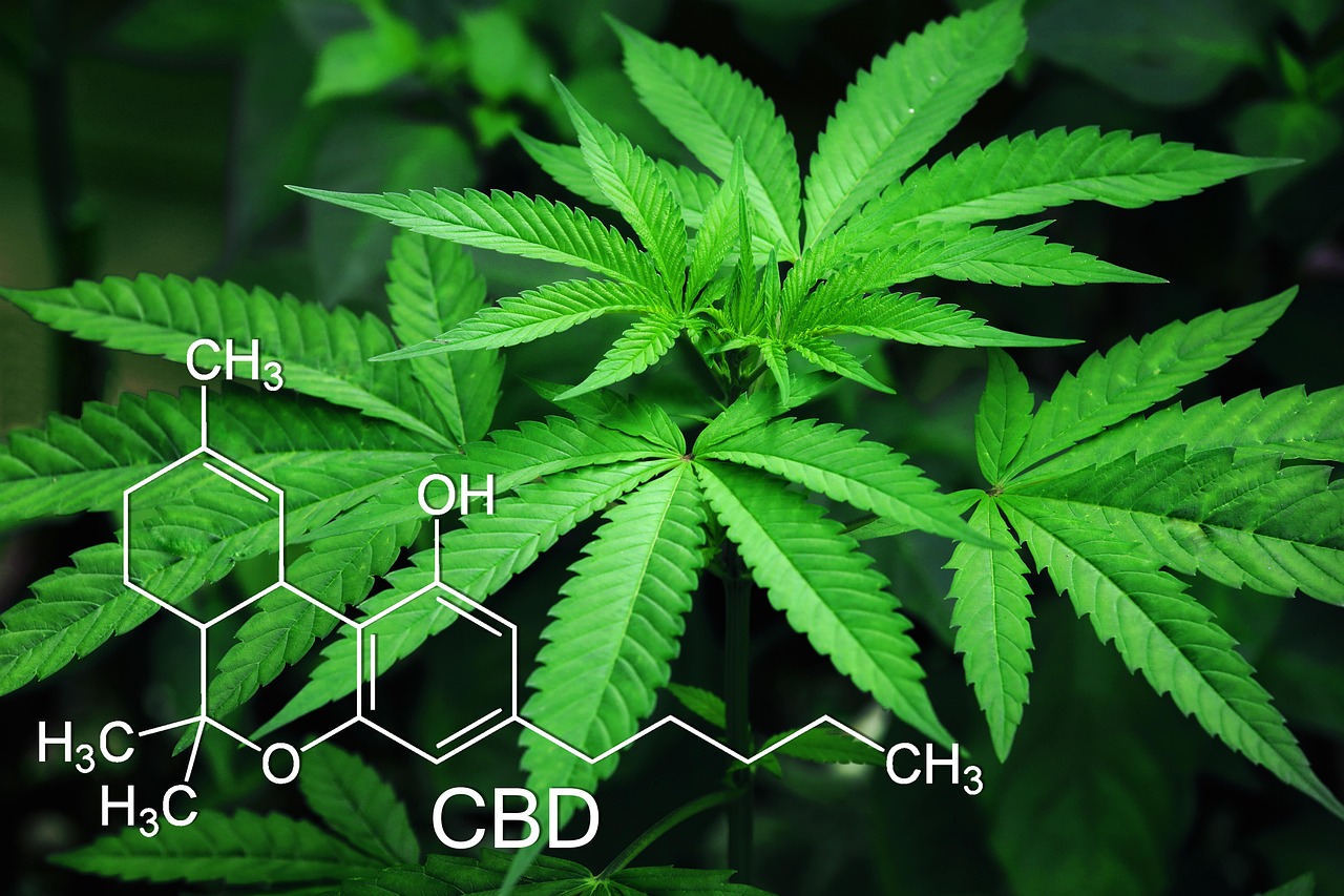 Weed Decriminalized in Wisconsin: What It Means for You